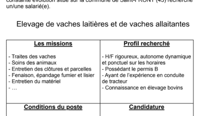OFFRE D&rsquo;EMPLOI : St Front