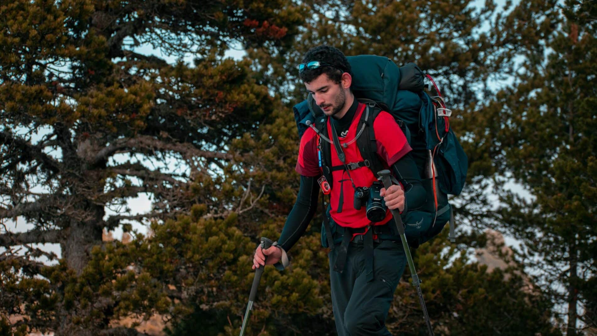 Backpacker hiking through the forest in Chichilianne, France with camera gear and trekking poles.